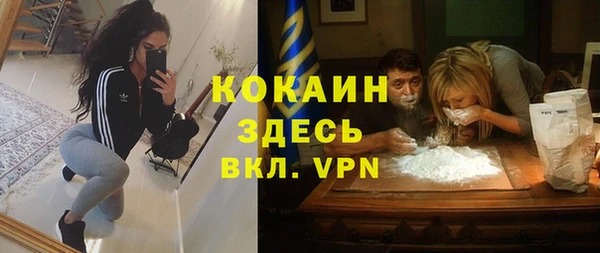 индика Алексин