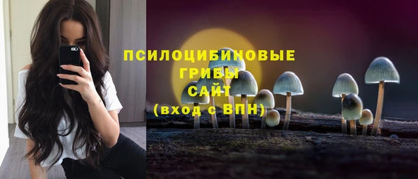 индика Алексин