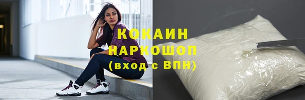индика Алексин