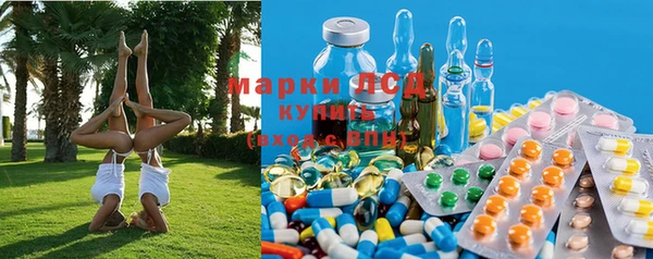 индика Алексин