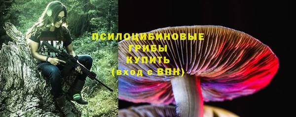 индика Алексин