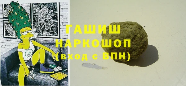 индика Алексин