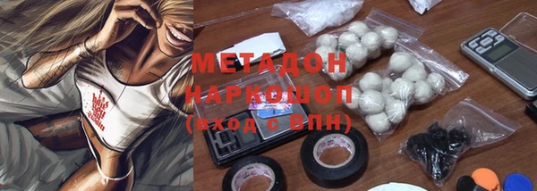 индика Алексин