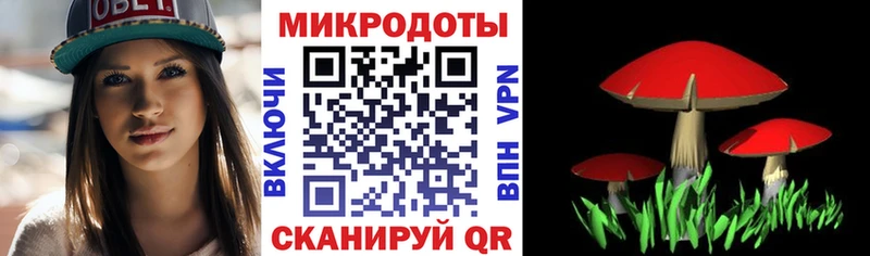закладка  Нефтекамск  mega ТОР  Псилоцибиновые грибы ЛСД 